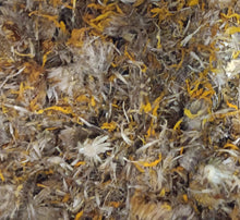 Load image into Gallery viewer, Organic Arnica 1 oz