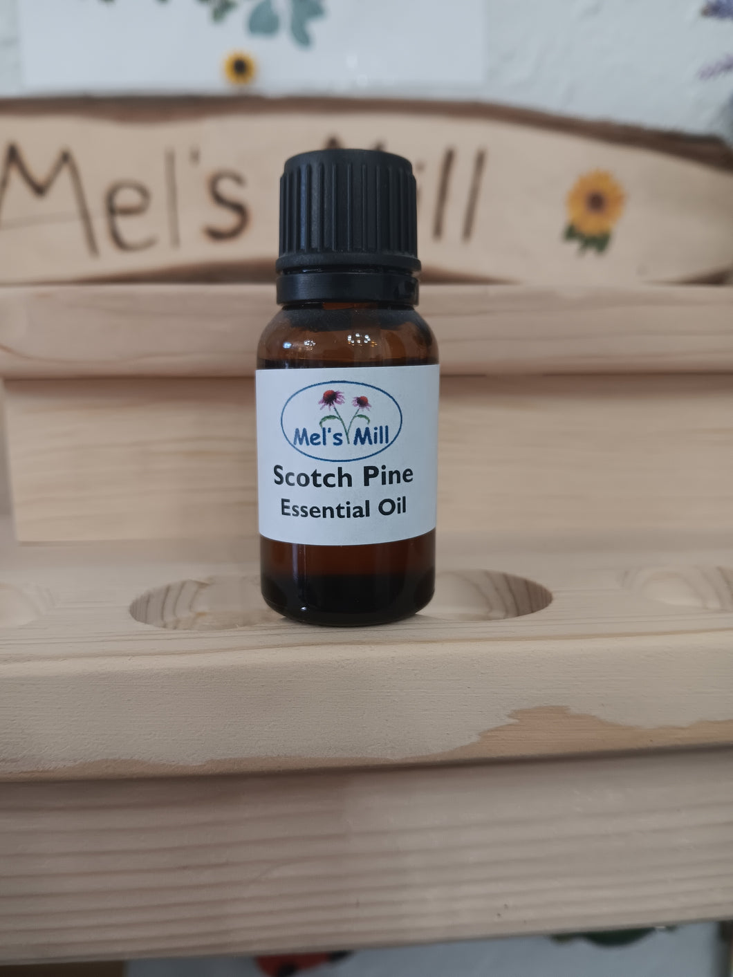 Scotch Pine Essential Oil