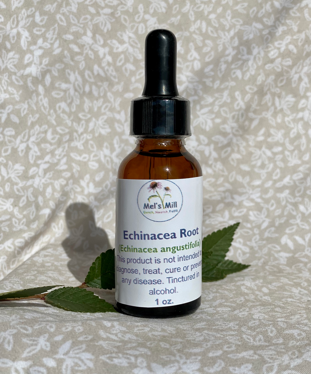 Echinacea Root Tincture