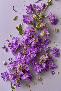 Organic Bee Balm 1 oz