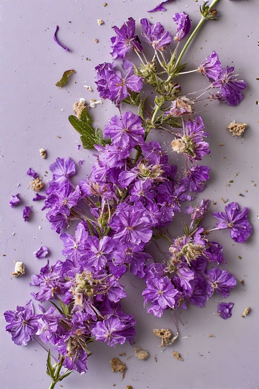 Organic Bee Balm 1 oz