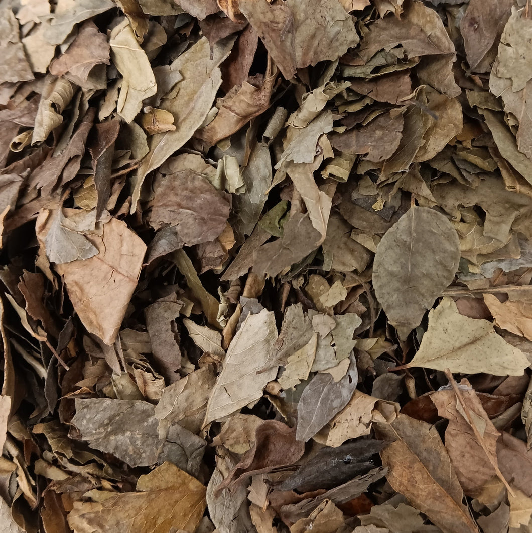 Organic Curry Leaf-Whole