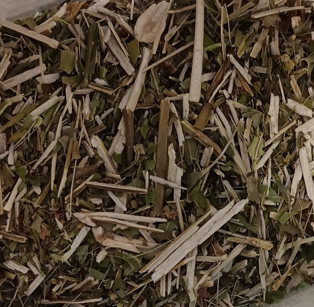 Organic Bugleweed 1 oz