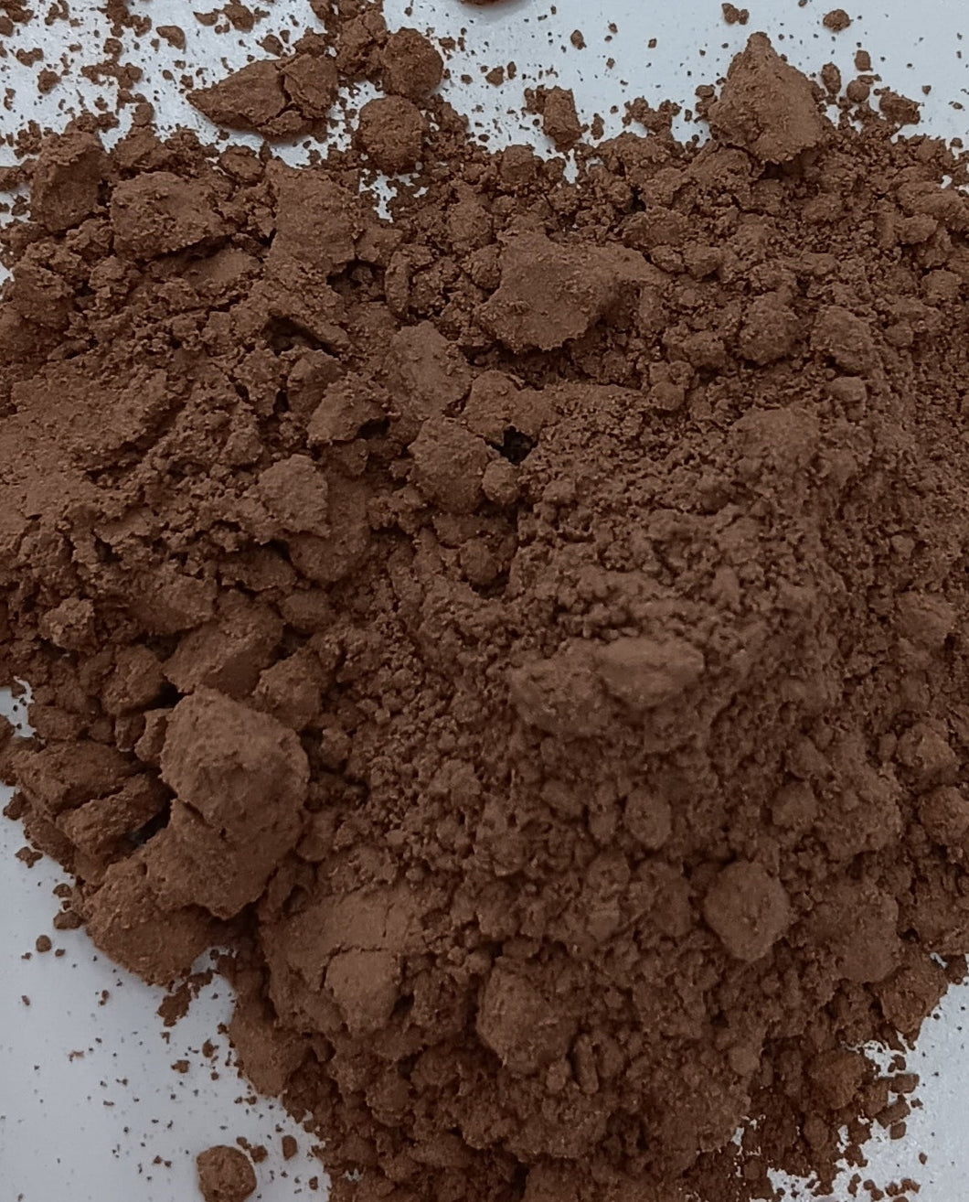 Organic Reishi Mushroom Powder 1 oz