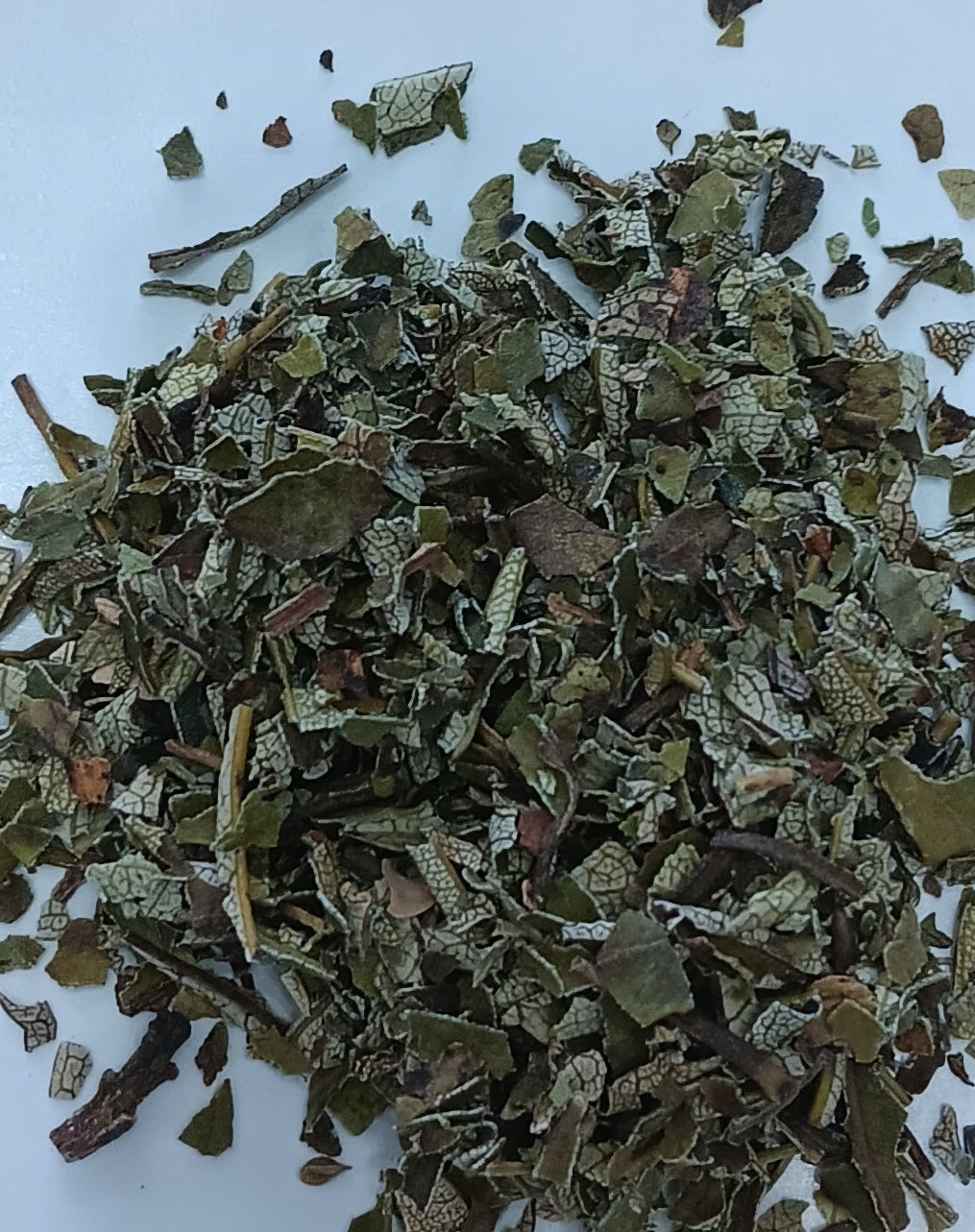 Wildharvested Yerba Santa 1 oz