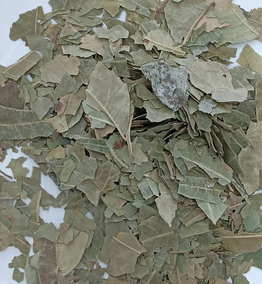 Organic Neem Leaf 1 oz