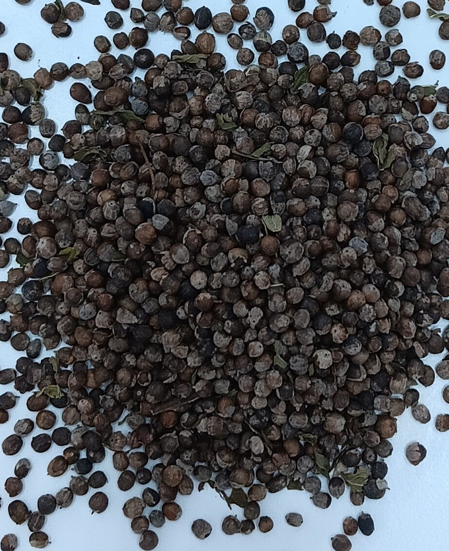 Organic Vitex Berries 1 oz